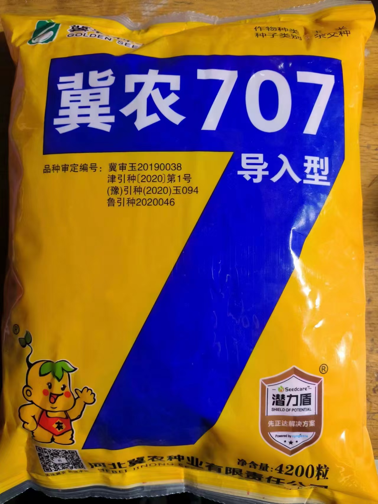 冀农707